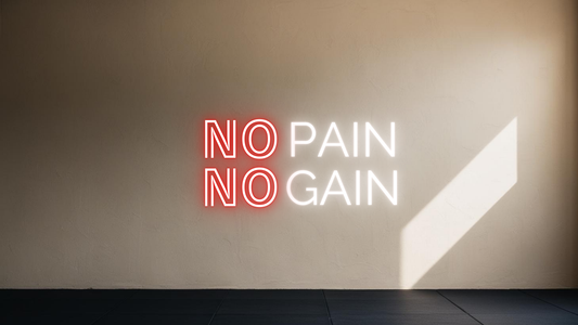 NO PAIN NO GAIN NEON SIGN